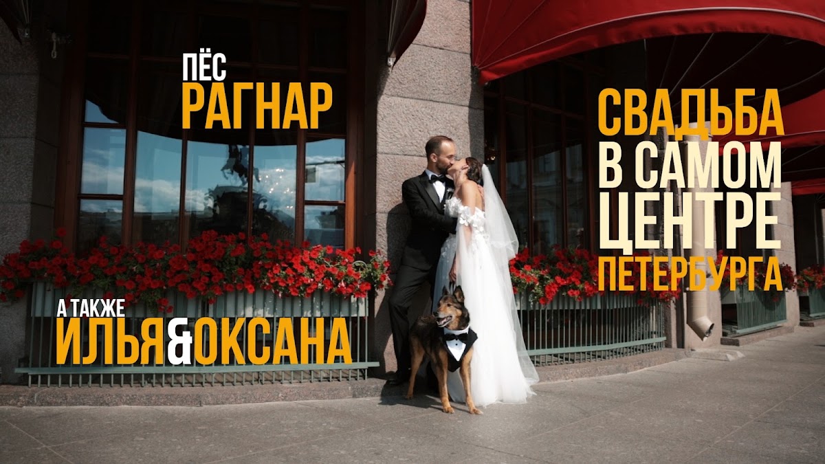 Фотографии