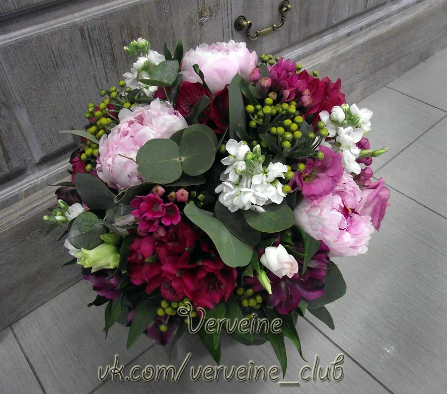 Verveine