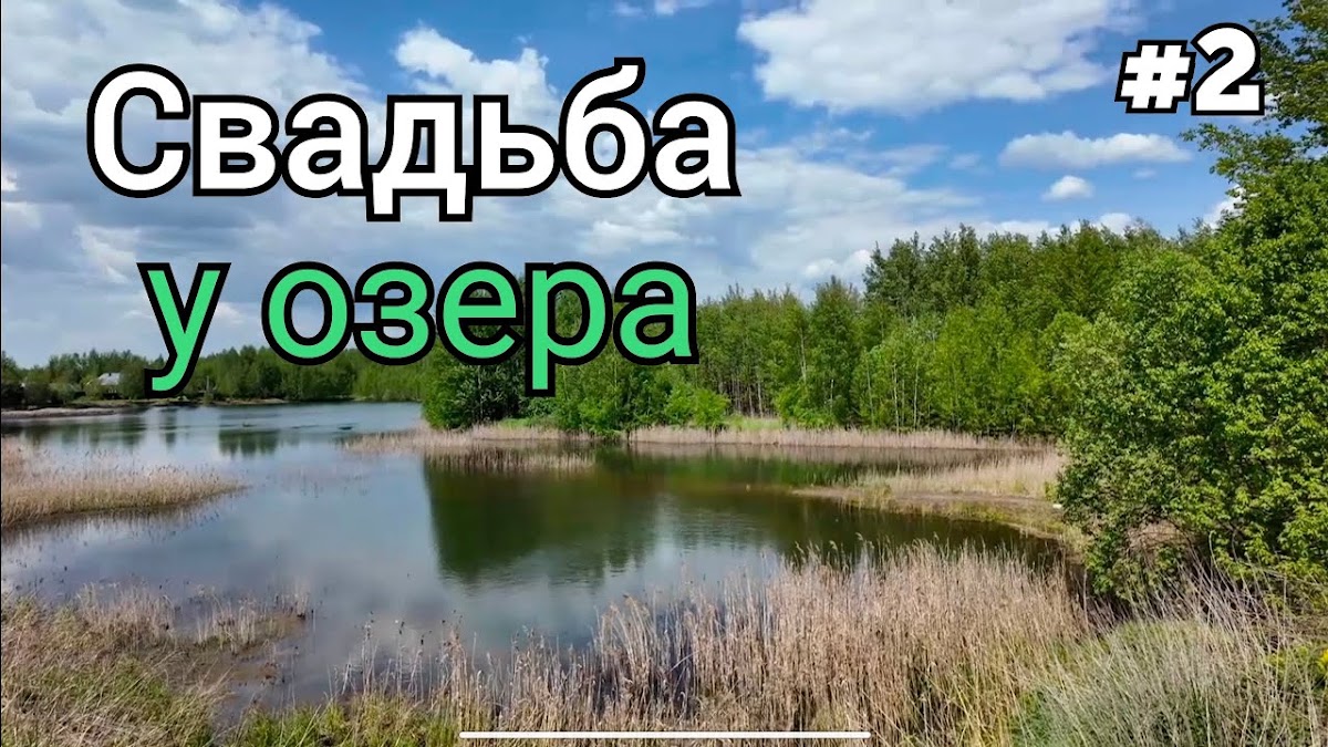 Владимир Гачурин