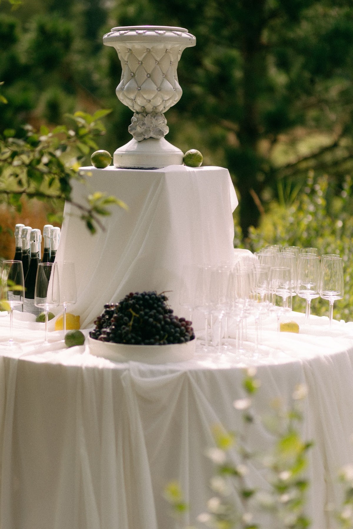 Виолетта и Дмитрий