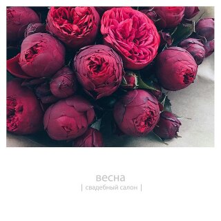 Весна, свадебный салон