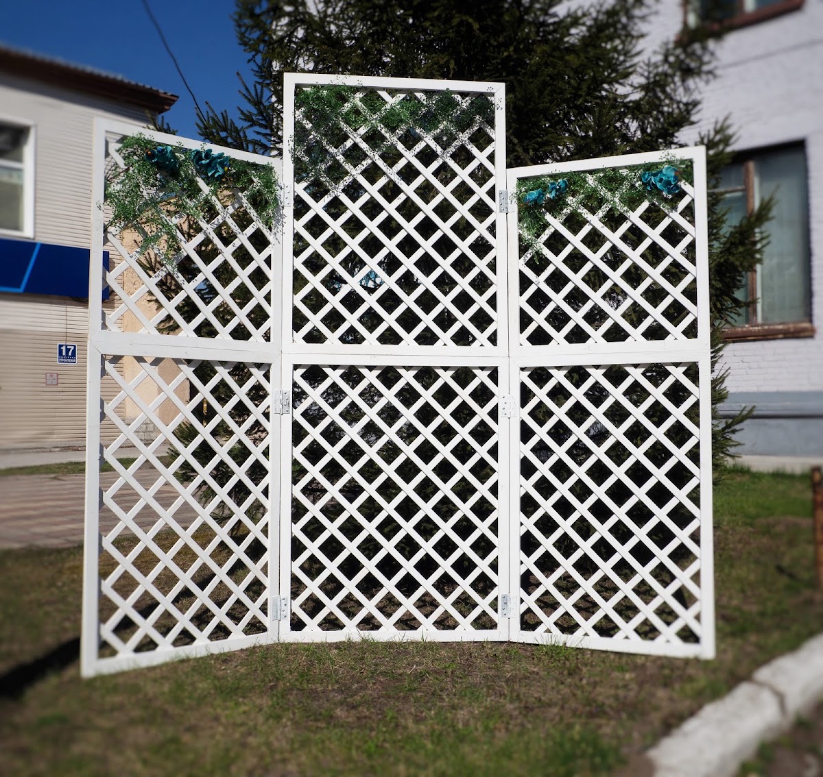 Портфолио