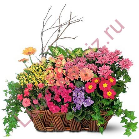 Кадр 13 из 15