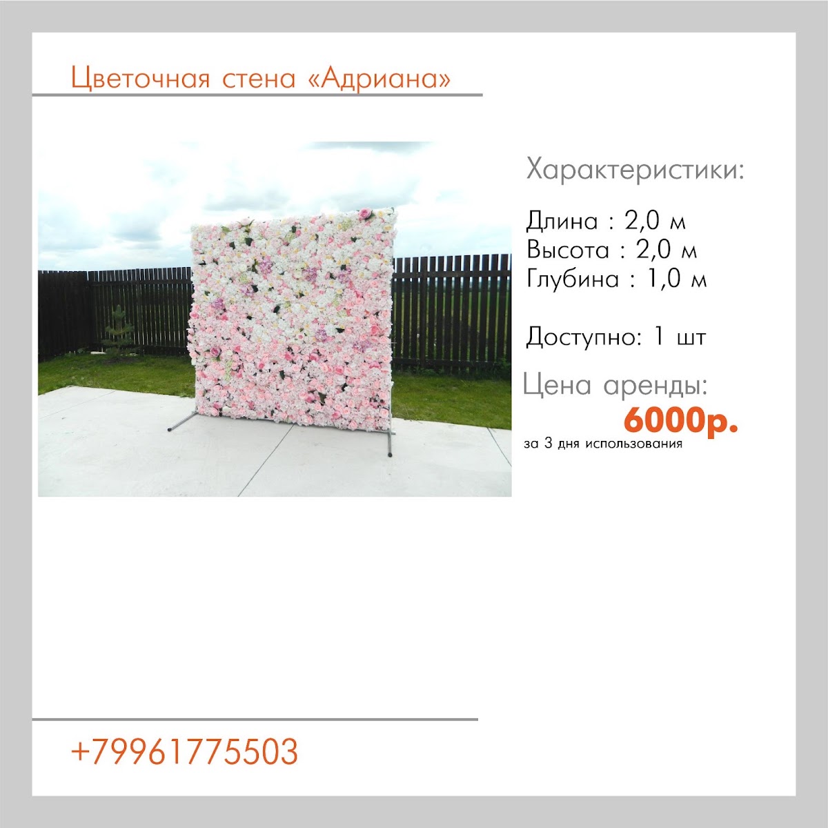 Ширмы,арки, стойки,фотозоны