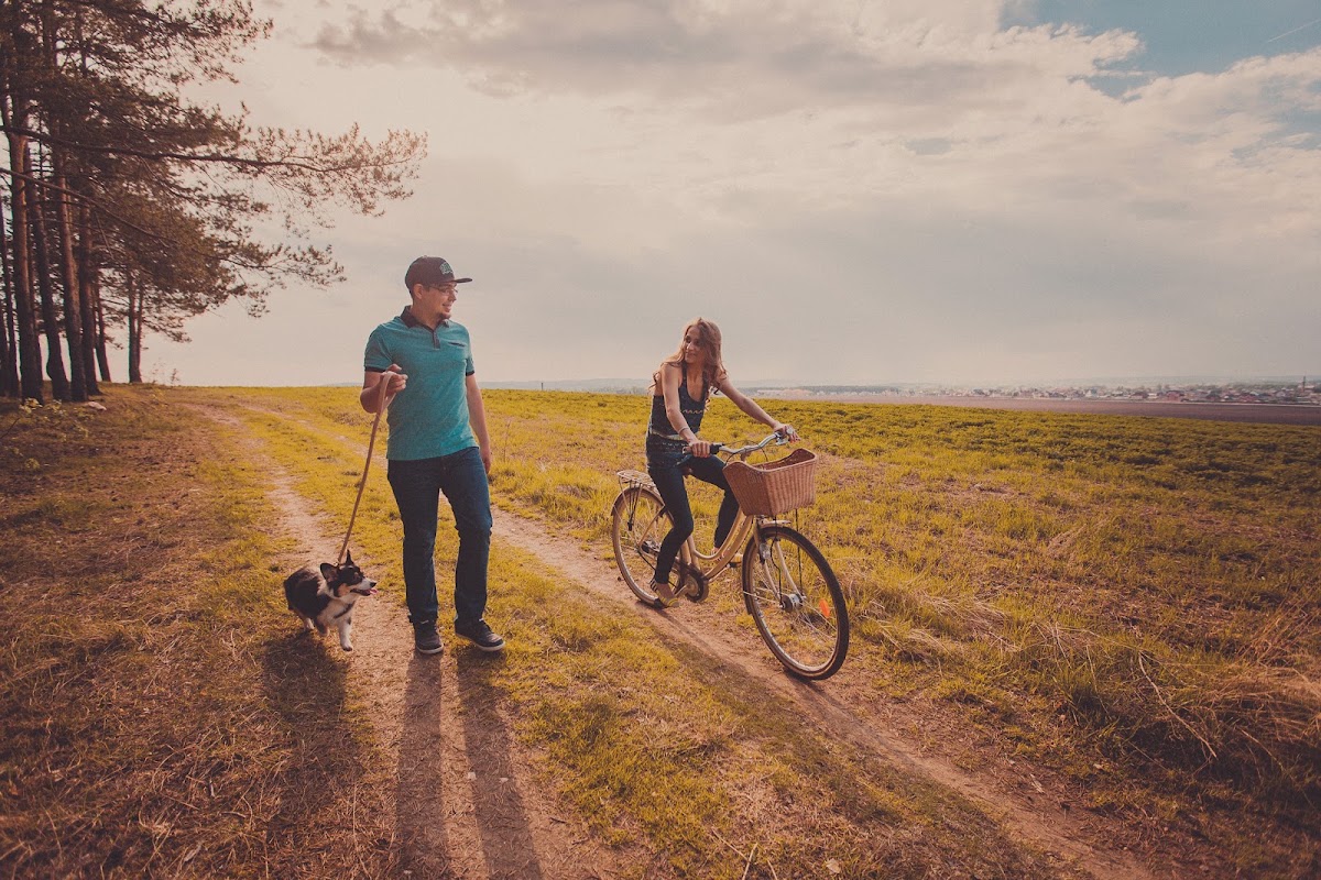 Кадр 52 из 71