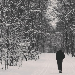 Никита Шмонин