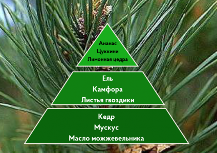 Портфолио