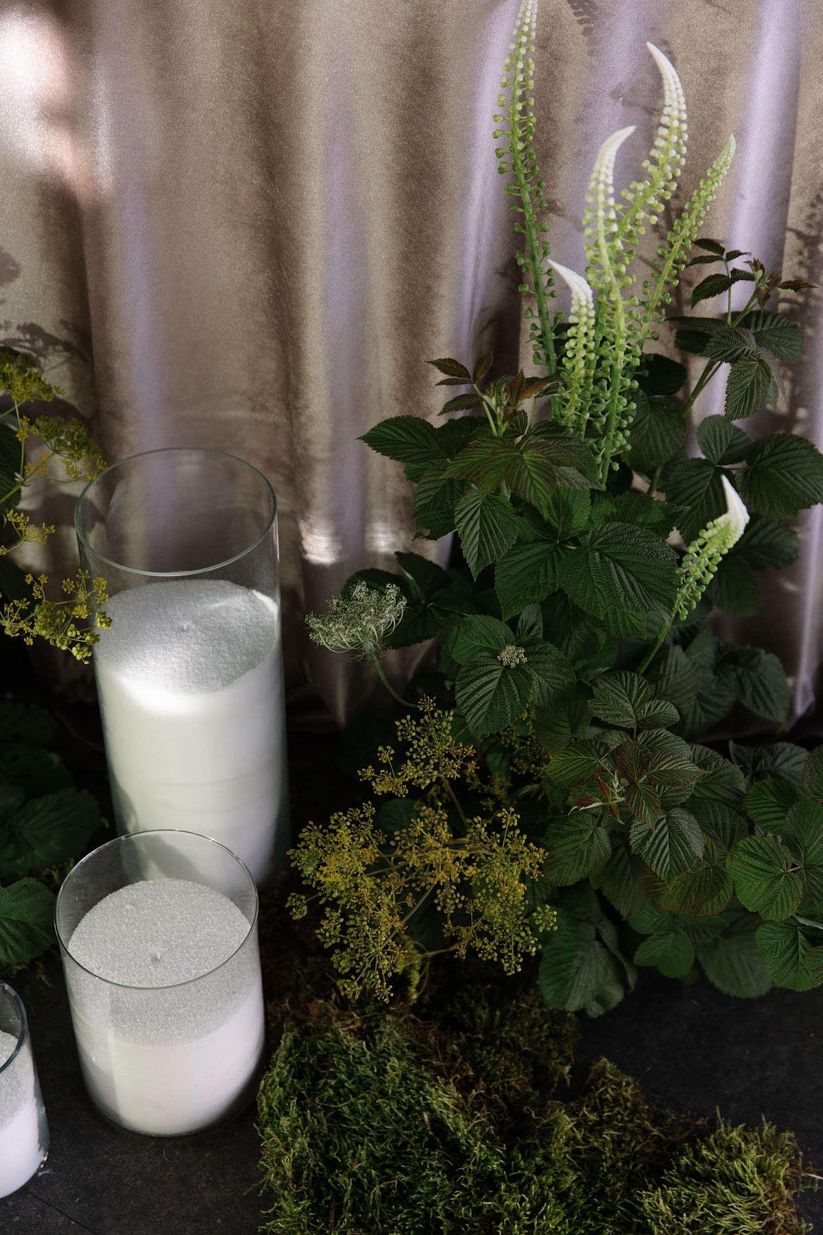 СЕЗОН 2024