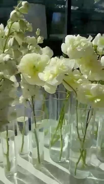 Кадр 68 из 98