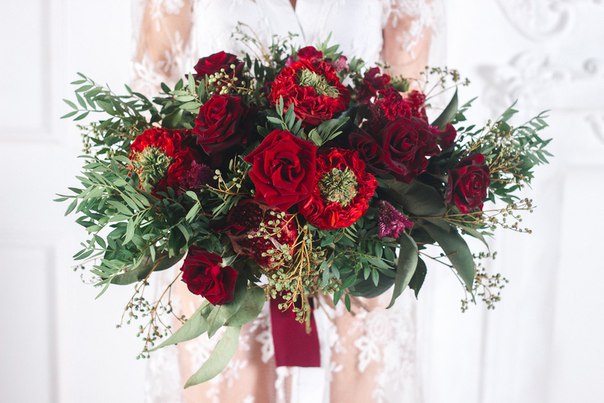 Olivia floristic