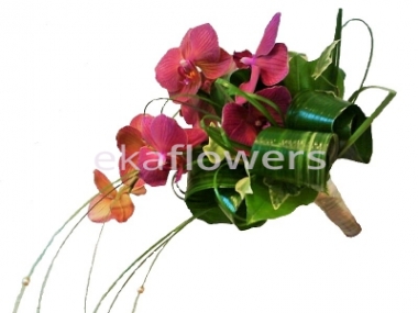 EkaFlowers