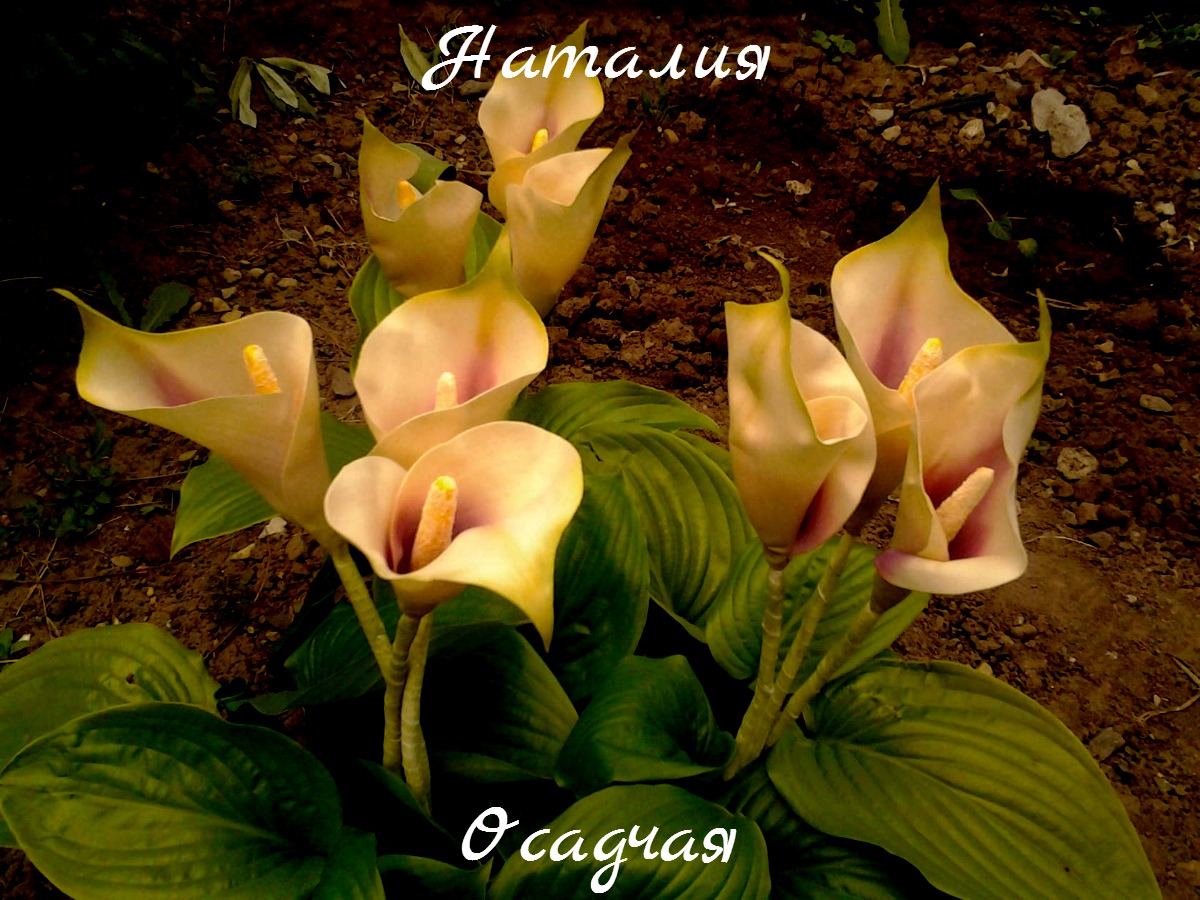 Кадр 39 из 103