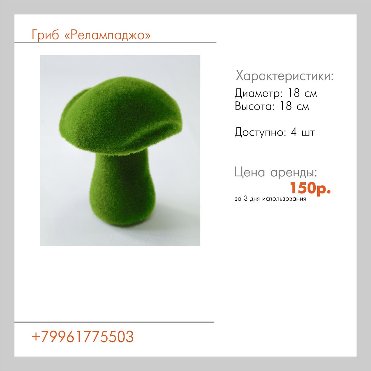 Аксессуары