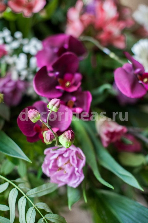 Кадр 63 из 64