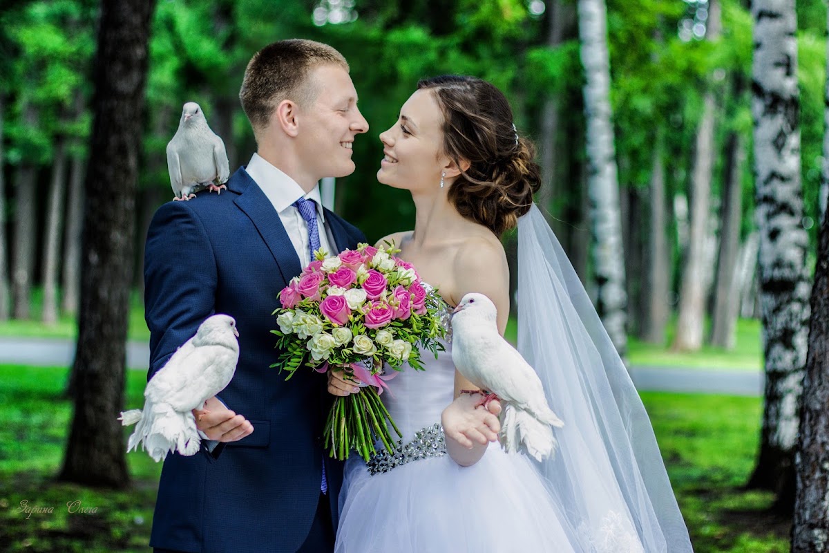 Свадебный отчёт
