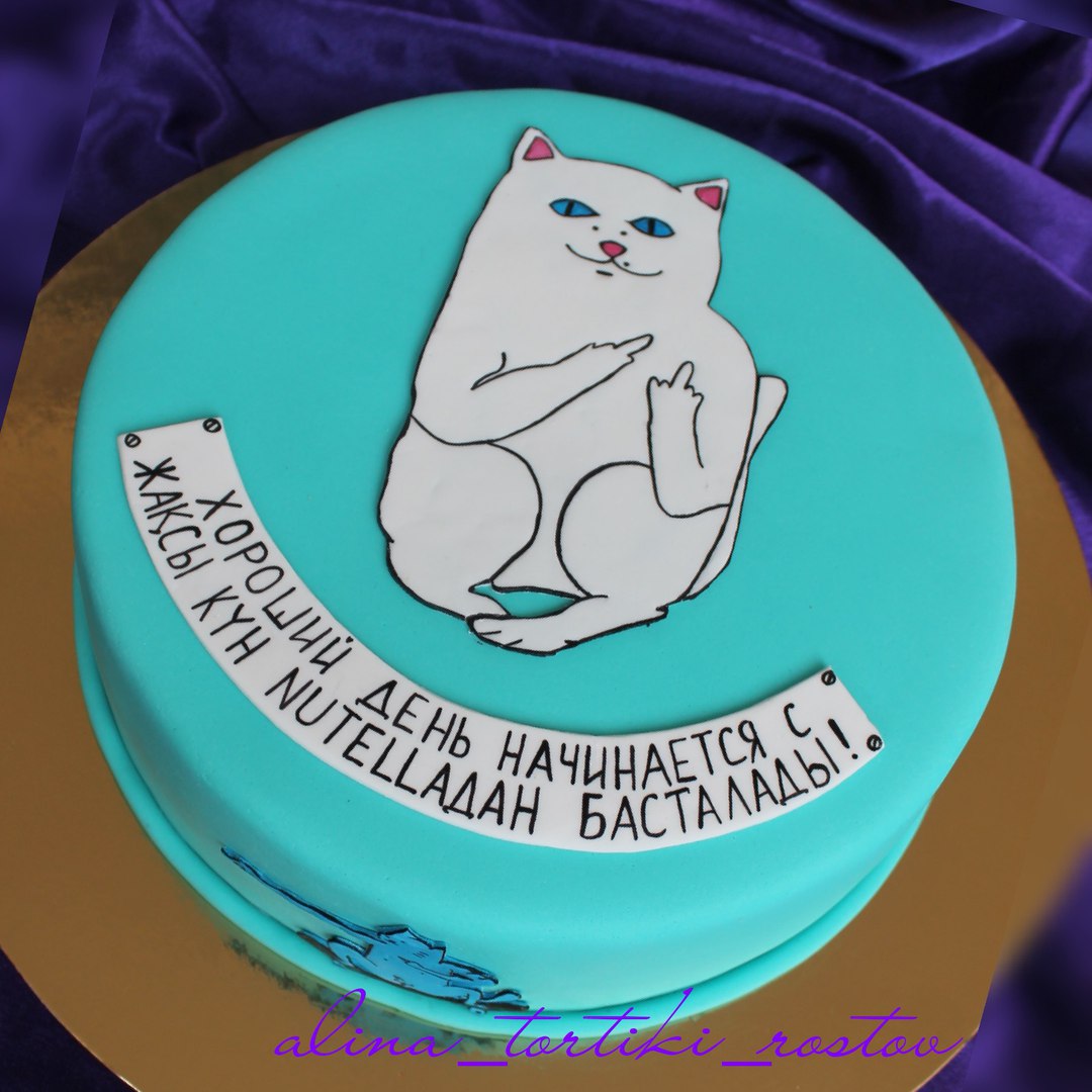Портфолио