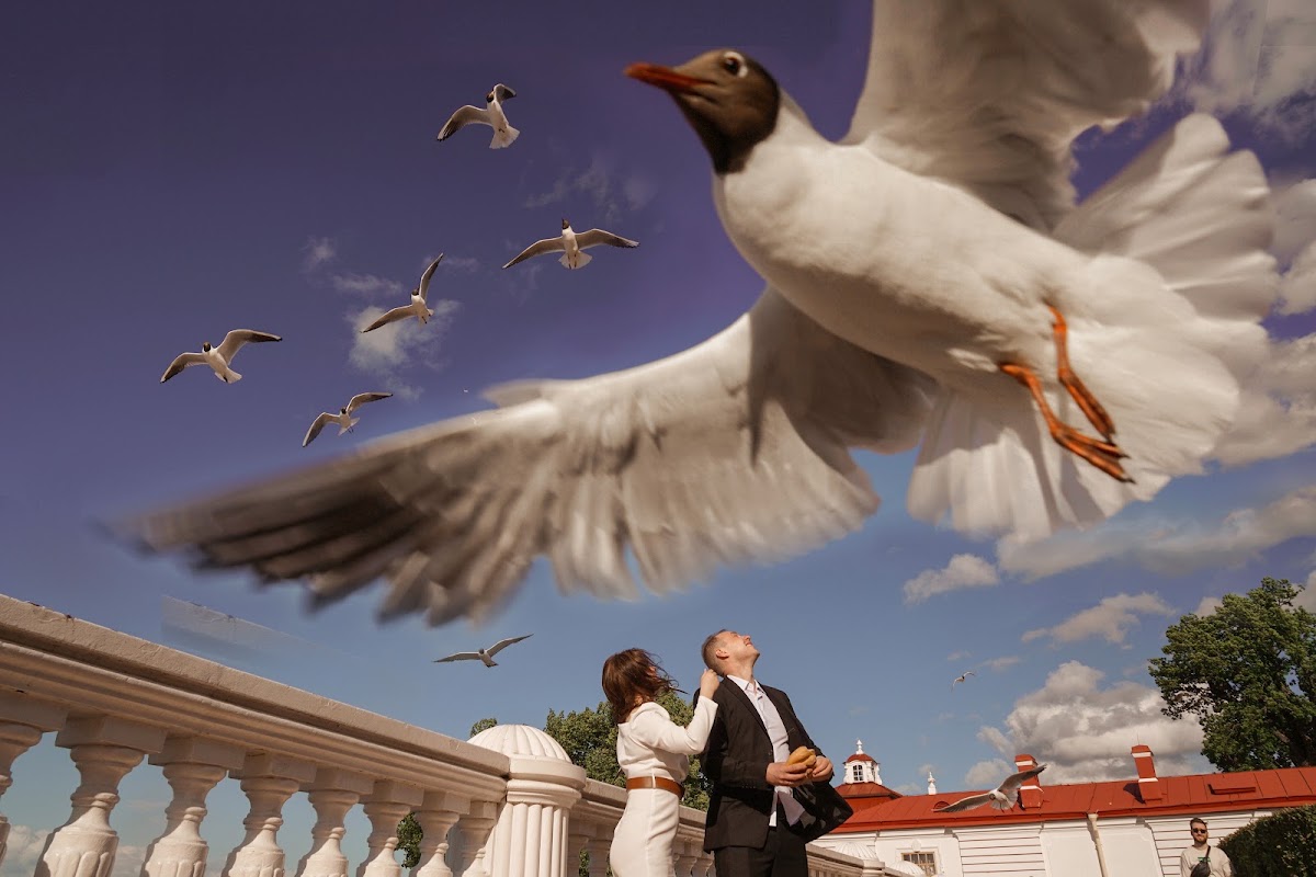 Портфолио: Love story