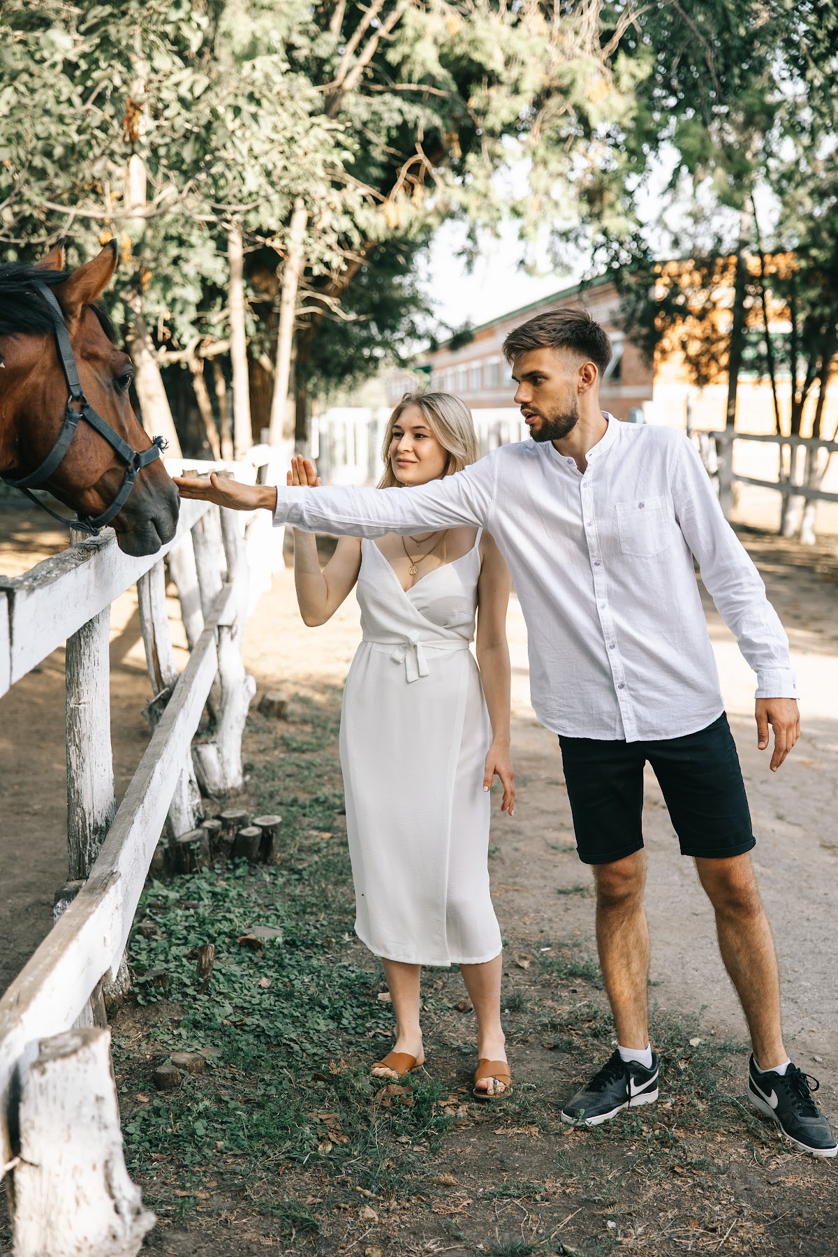 Love story с лошадками