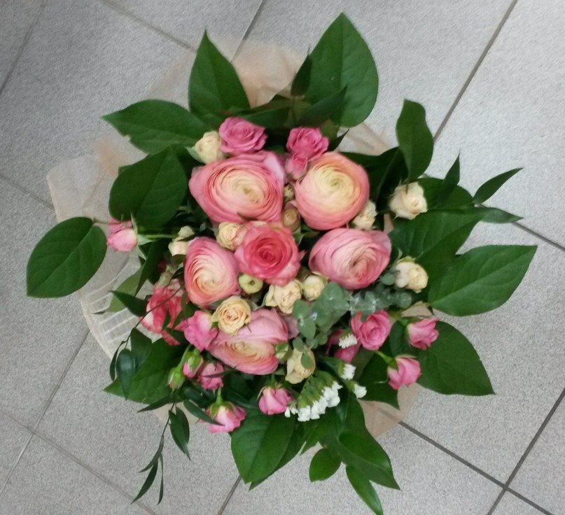 Кадр 11 из 18
