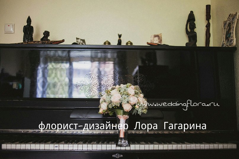 Фотографии