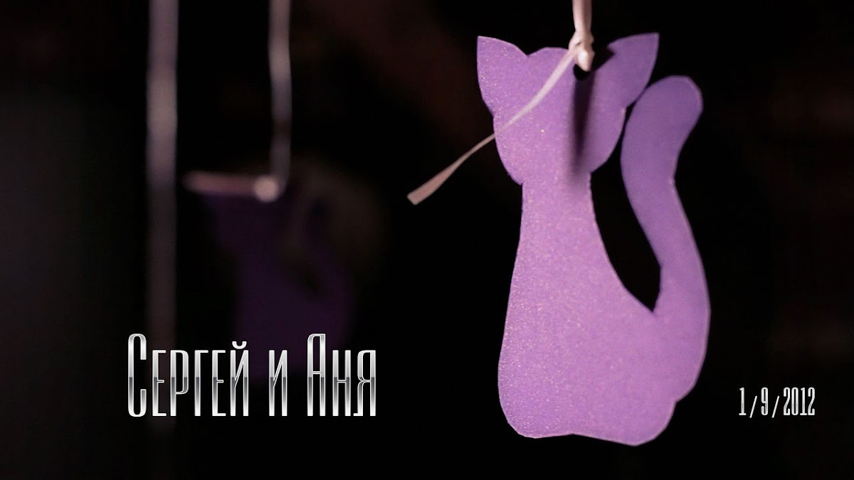 Портфолио: Свадьба