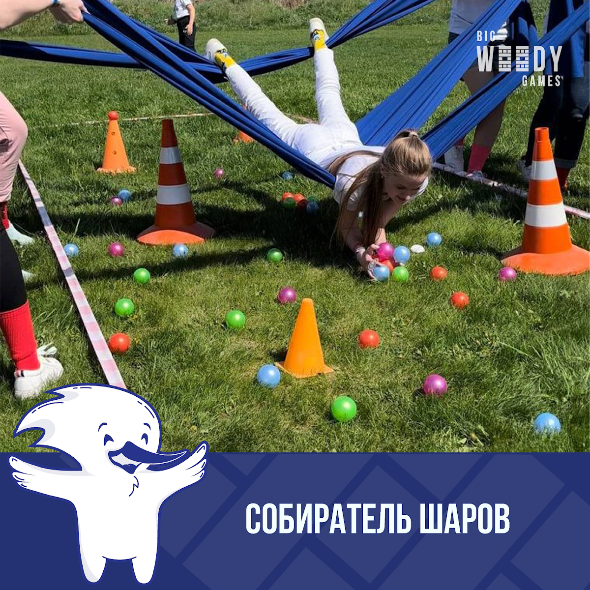 Портфолио