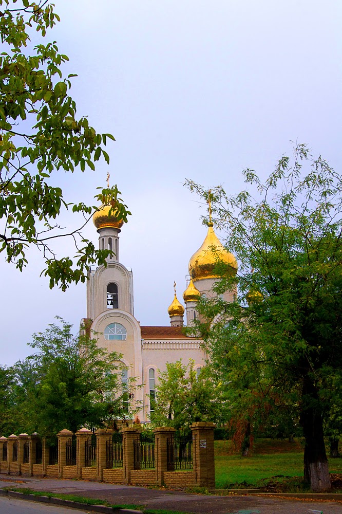 Кадр 36 из 40