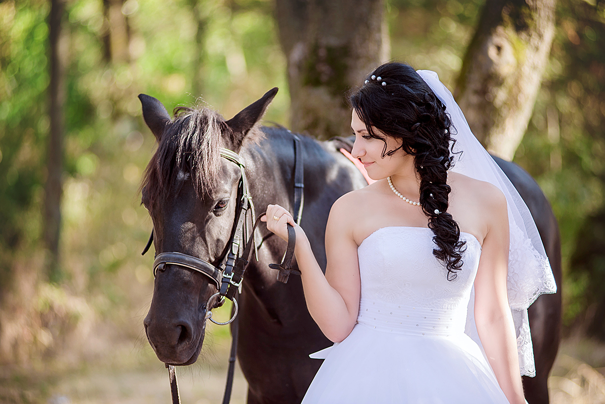 Horse travel