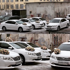 Фотографии