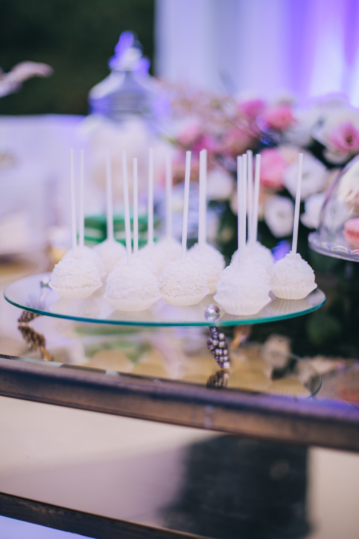 В краю магнолий