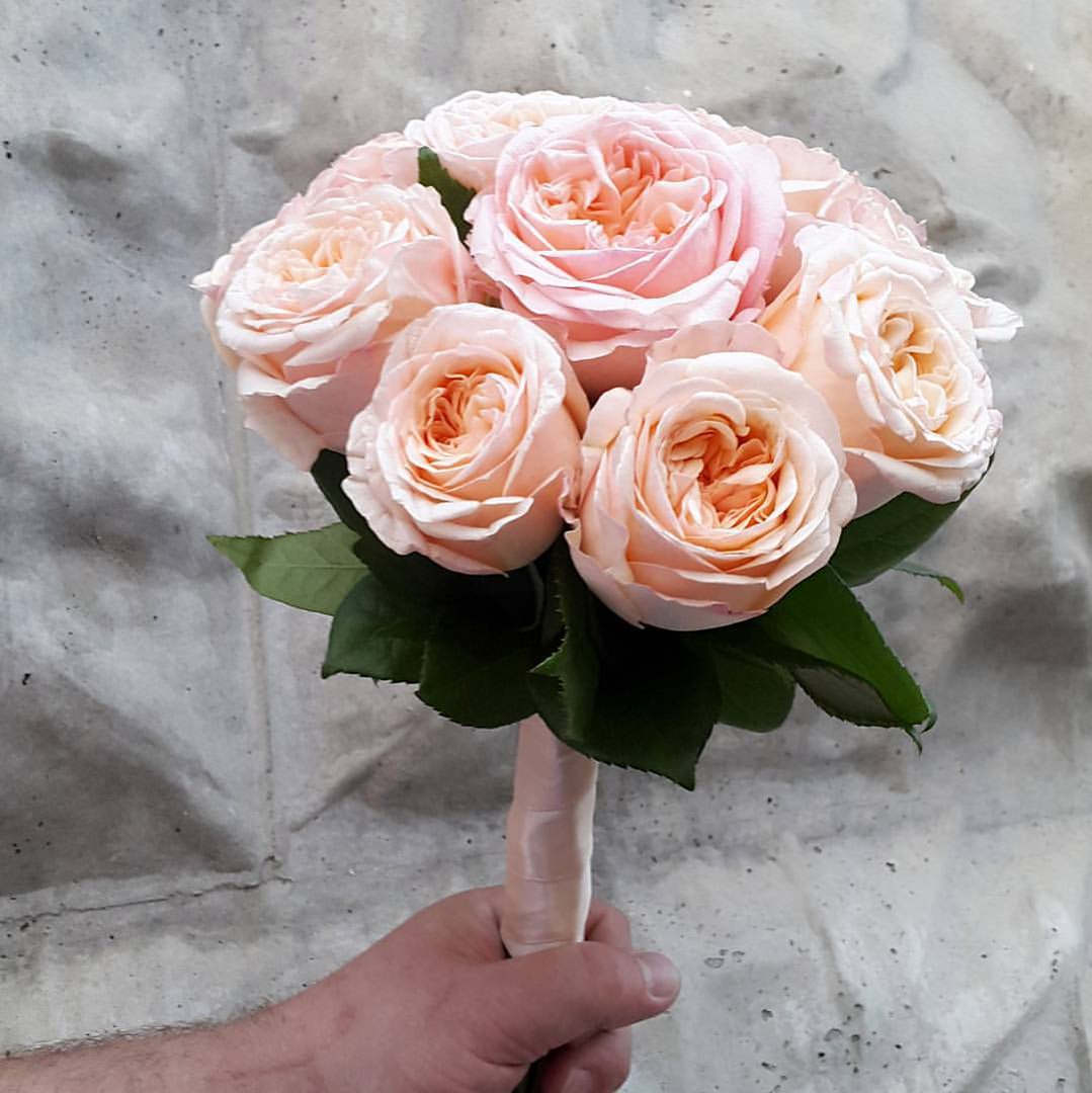Кадр 113 из 139