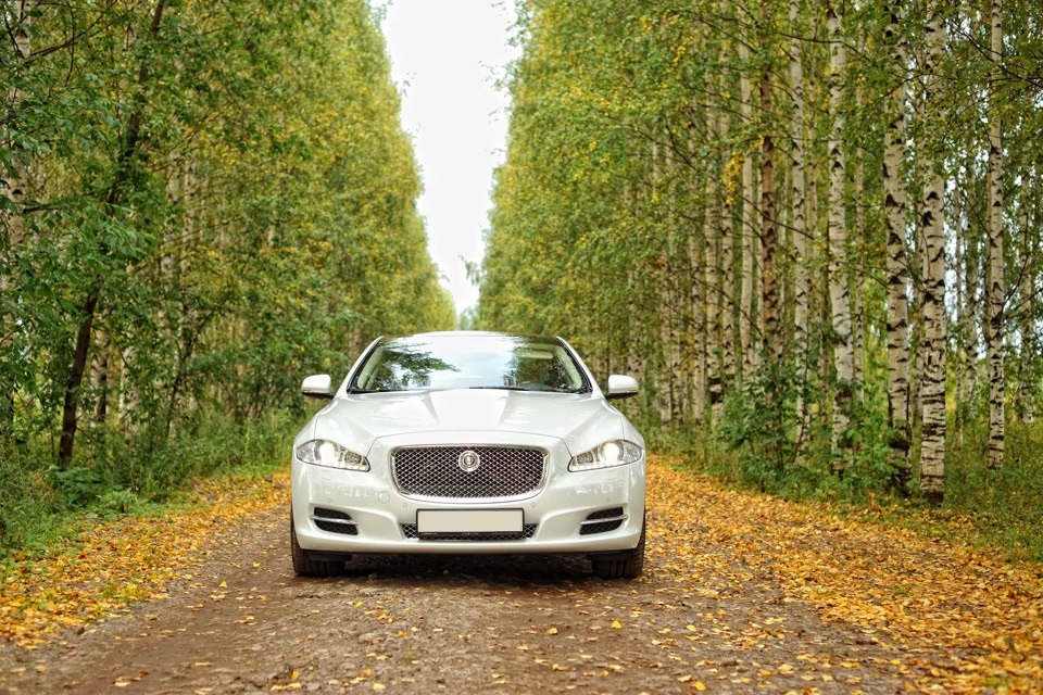 Ягуар XF — кадр 3 из 6