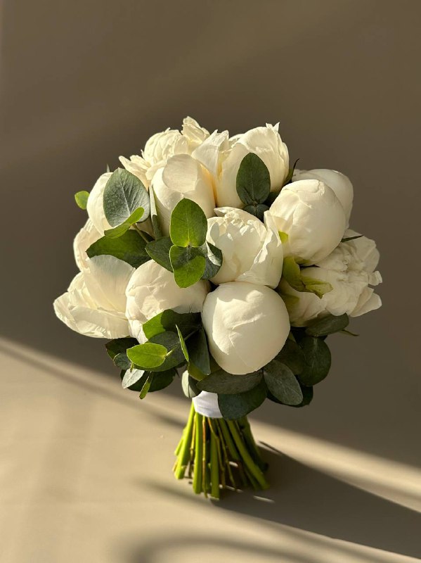 Кадр 38 из 88