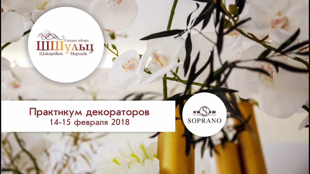 Видеоотчеты