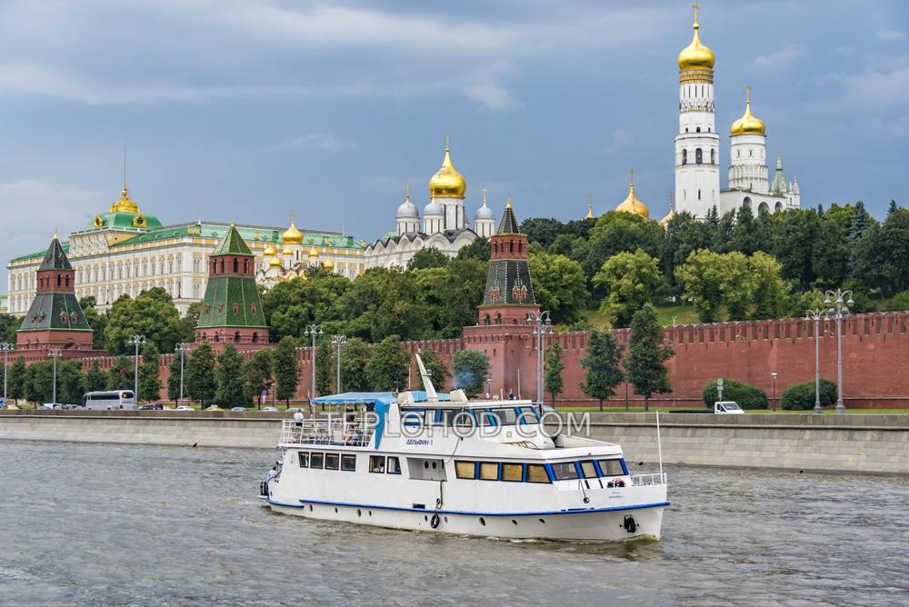 Дельфин
