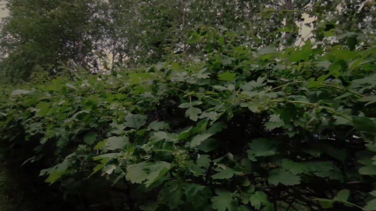 Алена Гришина — кадр 3 из 5