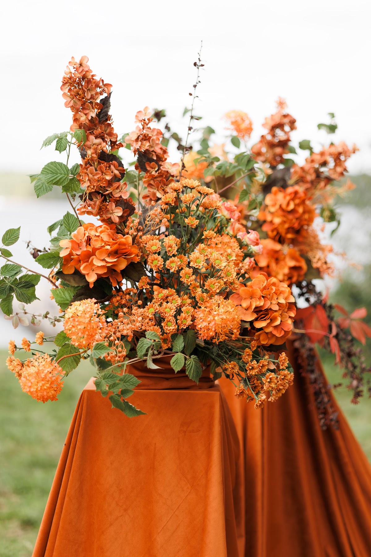 ‘orange edition’