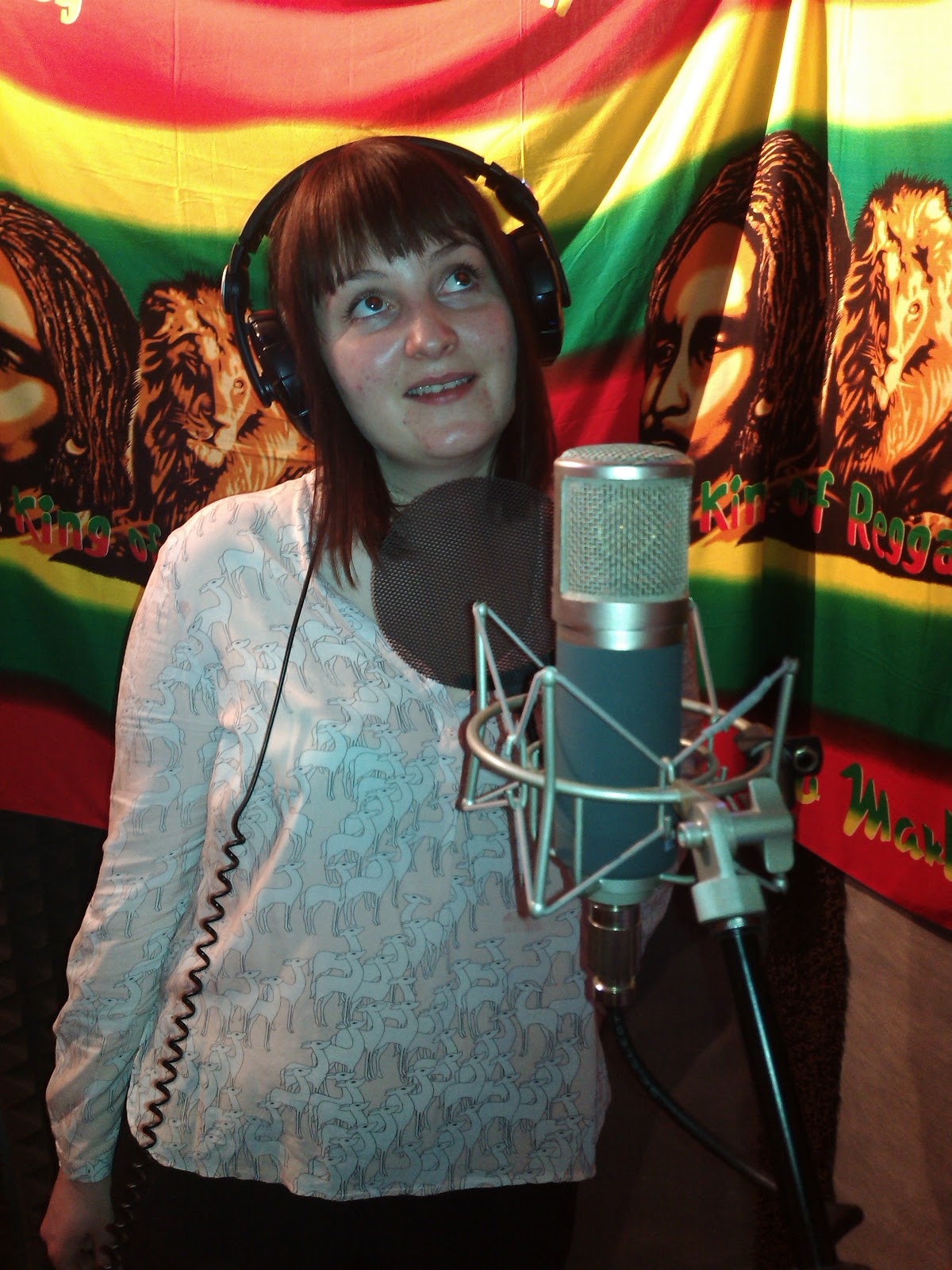 Cтудия звукозаписи LSStudio Records — кадр 2 из 57