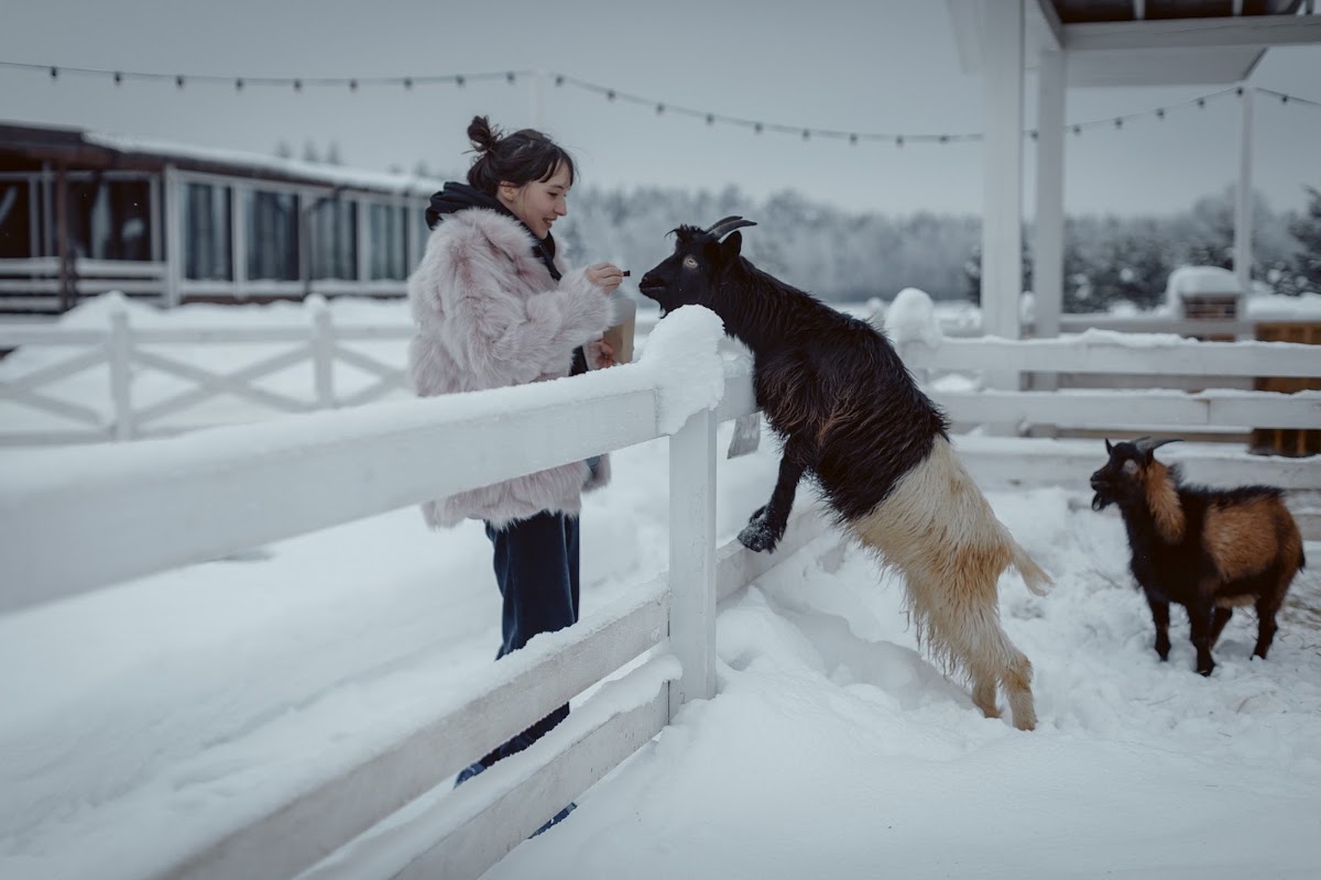 Загородный отель Horseka Resort