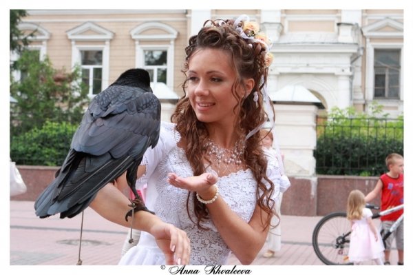 Фотосессии