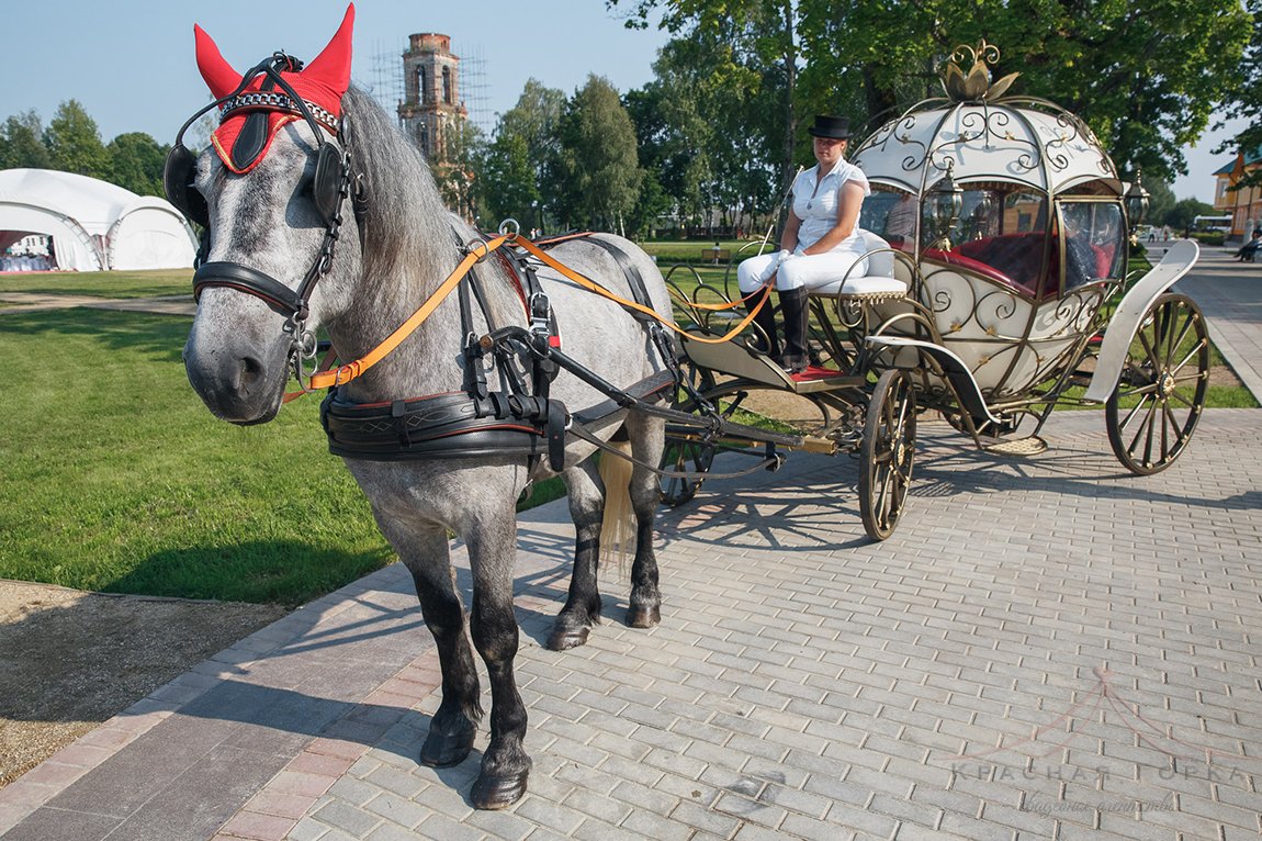 Елизавета и Никита