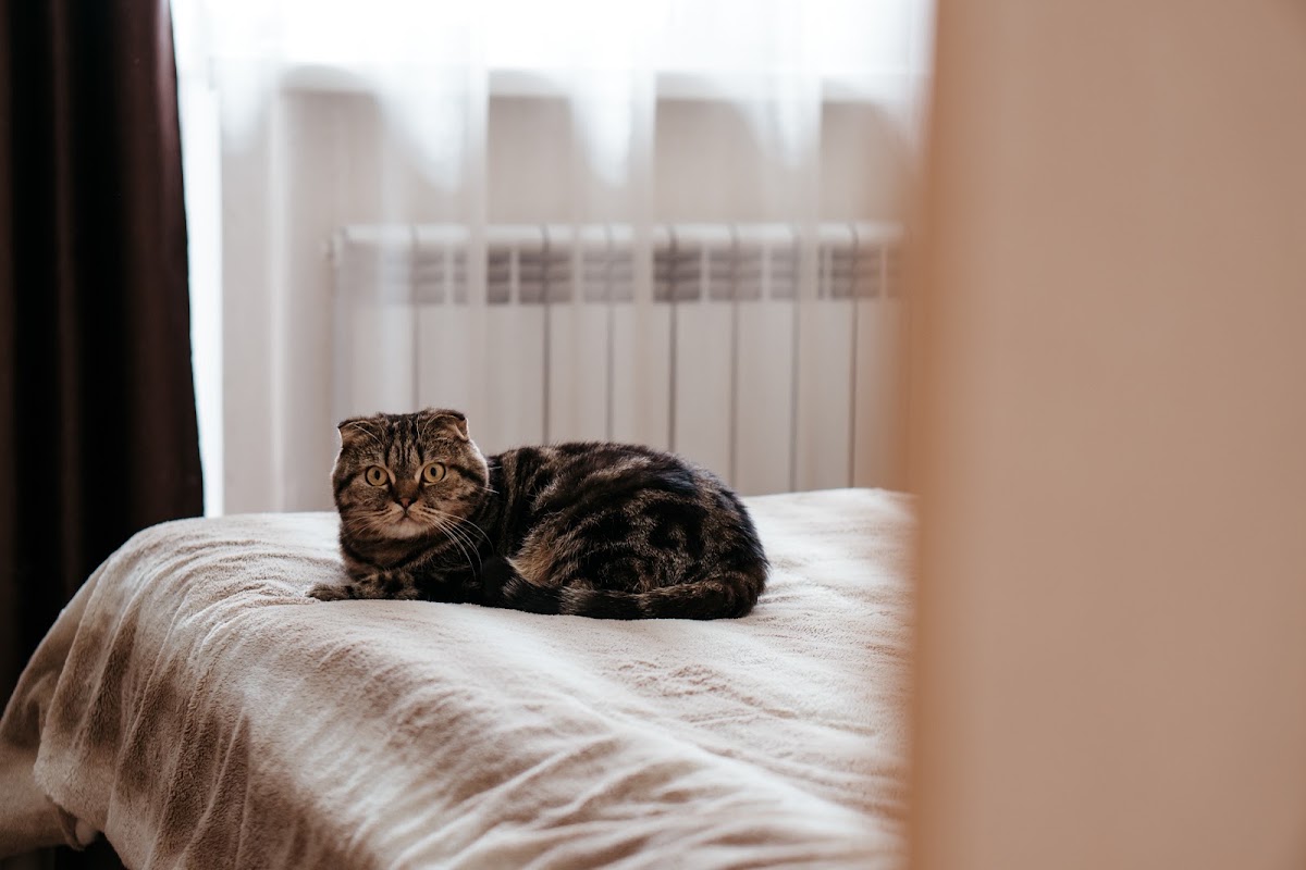 Алексей и Елена