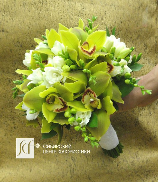 Сибирский центр флористики — кадр 5 из 34