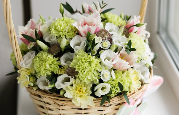 Matthiola