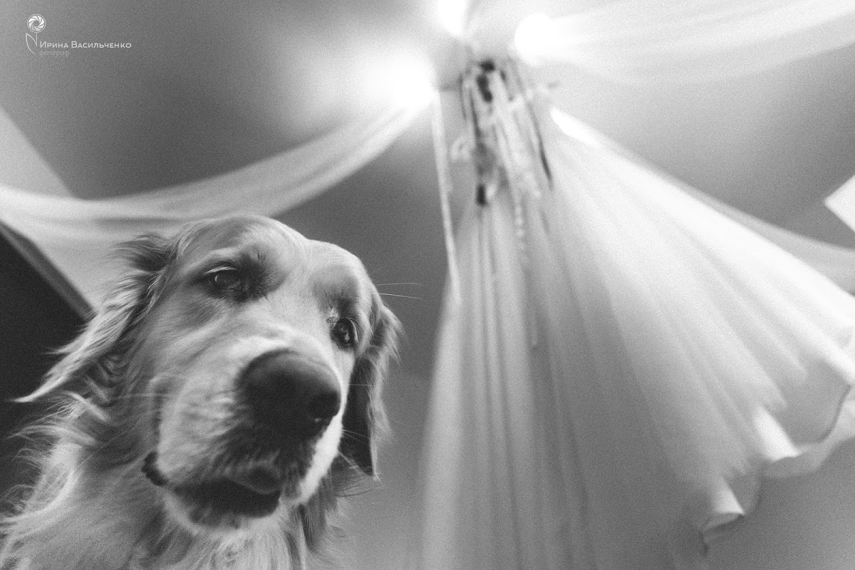 Фотографии