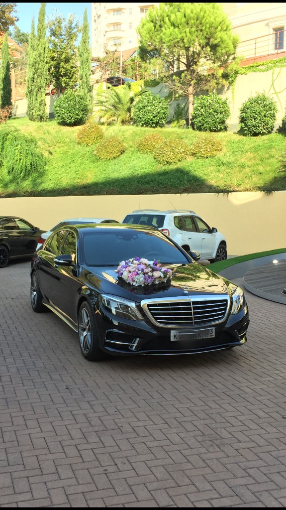 Mercedes-Benz S-222 — кадр 5 из 12