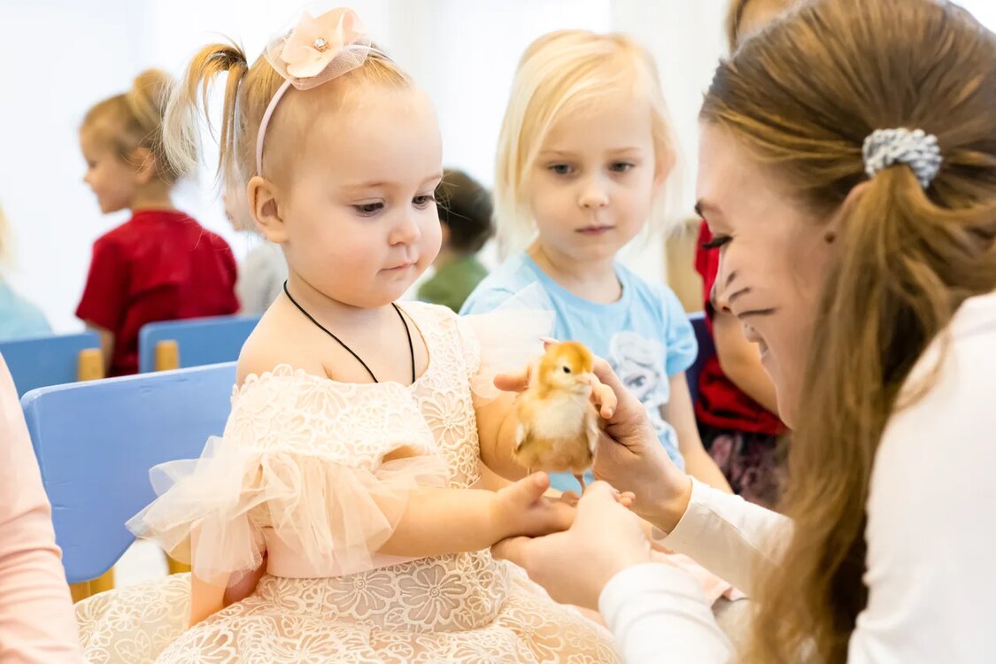 Фотографии