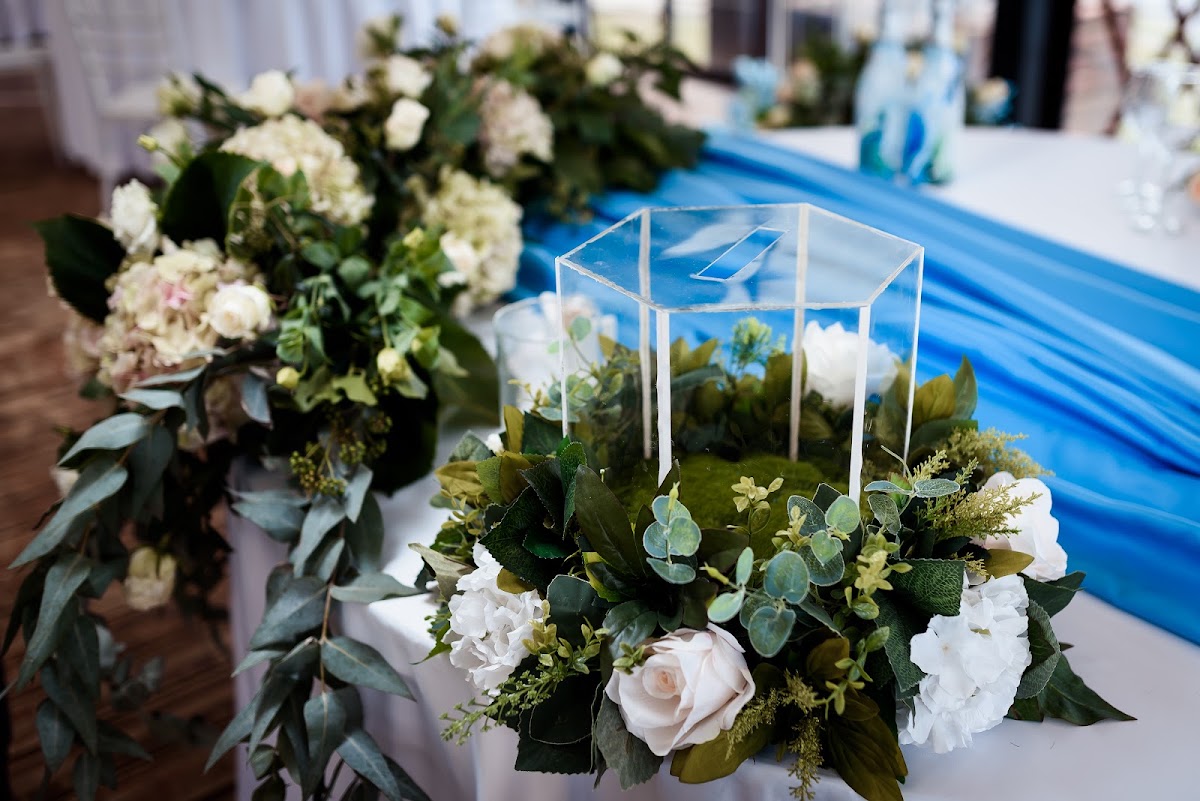 ANNA FORCE DECOR