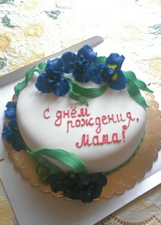 Портфолио