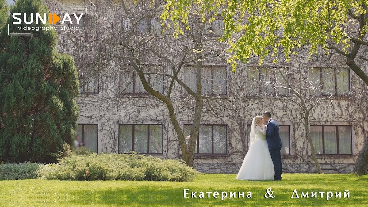 Портфолио: Свадьба
